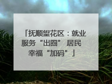 抚顺望花区：就业服务“出圈” 居民幸福“加码”