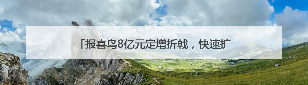 报喜鸟8亿元定增折戟，快速扩张中如何解决巨额资金缺口？