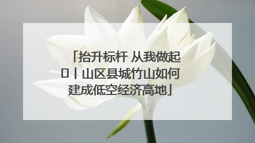 抬升标杆 从我做起⑭丨山区县城竹山如何建成低空经济高地