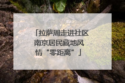 拉萨周走进社区 南京居民藏地风情“零距离”