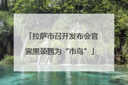 拉萨市召开发布会官宣黑颈鹤为“市鸟”