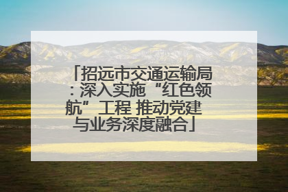 招远市交通运输局：深入实施“红色领航”工程 推动党建与业务深度融合