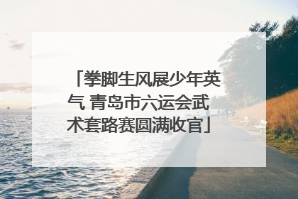 拳脚生风展少年英气 青岛市六运会武术套路赛圆满收官