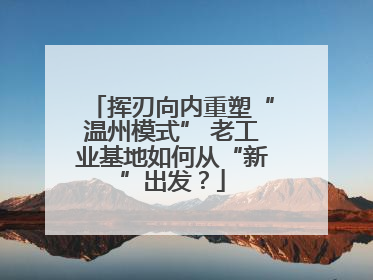 挥刃向内重塑“温州模式” 老工业基地如何从“新”出发？