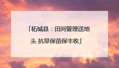 柘城县：田间管理送地头 抗旱保苗保丰收