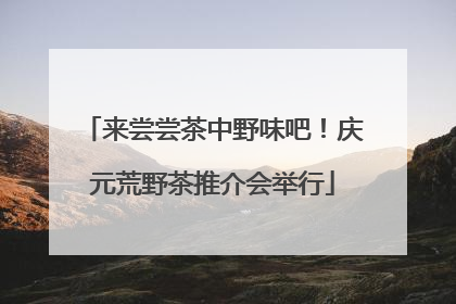 来尝尝茶中野味吧！庆元荒野茶推介会举行