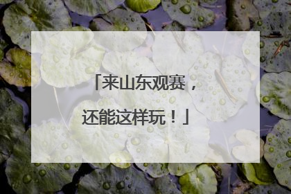 来山东观赛，还能这样玩！