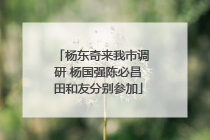 杨东奇来我市调研 杨国强陈必昌田和友分别参加