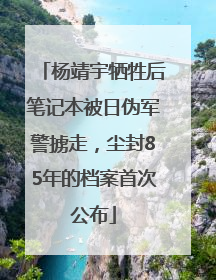 杨靖宇牺牲后笔记本被日伪军警掳走，尘封85年的档案首次公布