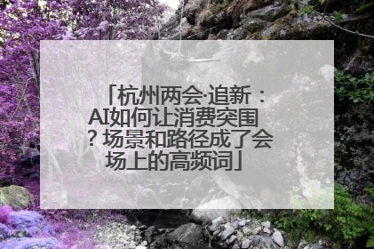 杭州两会·追新：AI如何让消费突围？场景和路径成了会场上的高频词