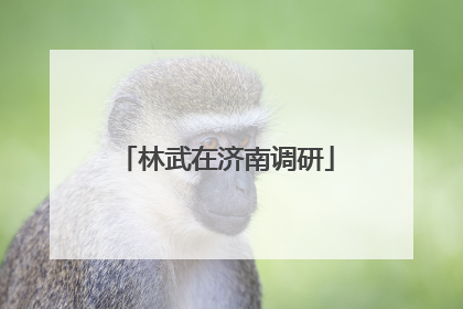 林武在济南调研
