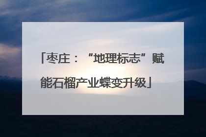 枣庄：“地理标志”赋能石榴产业蝶变升级