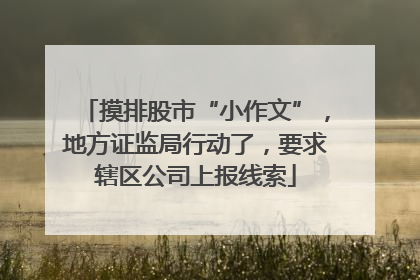 摸排股市“小作文”，地方证监局行动了，要求辖区公司上报线索