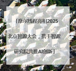 摩尔线程亮相2025北京智源大会，携手智源研究院共推AI创新