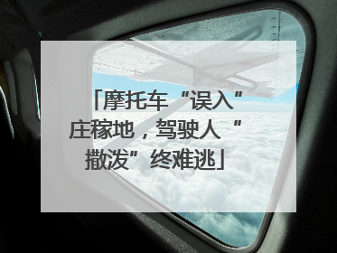 摩托车“误入”庄稼地，驾驶人“撒泼”终难逃