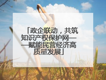 政企联动，共筑知识产权保护网——赋能民营经济高质量发展
