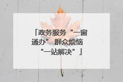 政务服务“一窗通办” 群众烦恼“一站解决”
