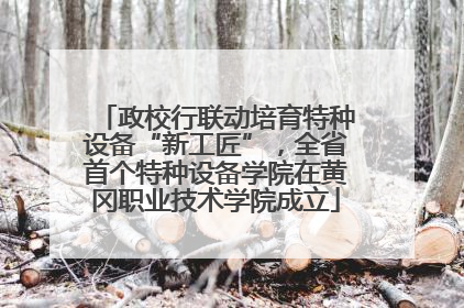 政校行联动培育特种设备“新工匠”，全省首个特种设备学院在黄冈职业技术学院成立