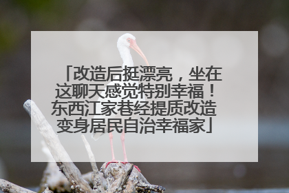 改造后挺漂亮，坐在这聊天感觉特别幸福！东西江家巷经提质改造变身居民自治幸福家