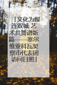 文化为媒连双城 艺术共舞谱新篇——塞尔维亚科瓦契察市代表团访问日照