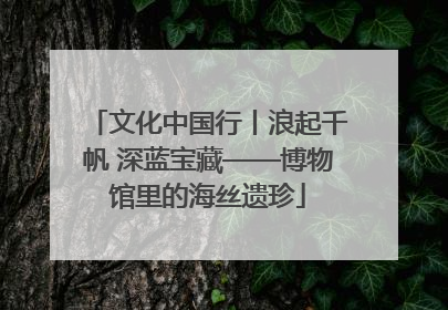 文化中国行丨浪起千帆 深蓝宝藏——博物馆里的海丝遗珍