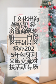 文化出海架桥梁 经济通商筑梦船——自贸区开封片区承办2025年匈牙利文旅交流对接活动专场