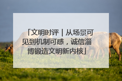 文明时评｜从场景可见到机制可感，诚信淄博锻造文明新内核