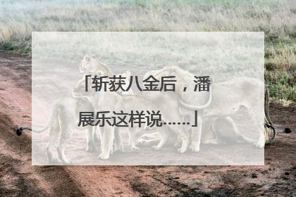 斩获八金后，潘展乐这样说……