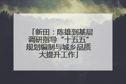 新田：陈雄到基层调研指导“十五五”规划编制与城乡品质大提升工作