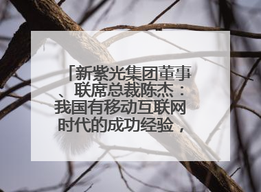 新紫光集团董事、联席总裁陈杰：我国有移动互联网时代的成功经验，最有能力做好AI应用创新