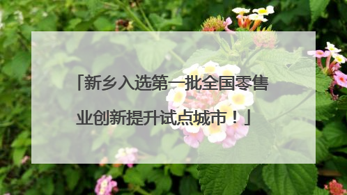 新乡入选第一批全国零售业创新提升试点城市！