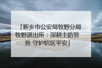 新乡市公安局牧野分局牧野派出所：深耕主防警务 守护辖区平安