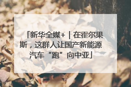 新华全媒+｜在霍尔果斯，这群人让国产新能源汽车“跑”向中亚
