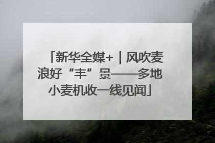 新华全媒+｜风吹麦浪好“丰”景——多地小麦机收一线见闻