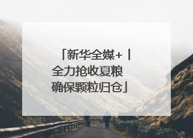 新华全媒+丨全力抢收夏粮 确保颗粒归仓