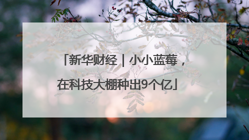 新华财经｜小小蓝莓，在科技大棚种出9个亿
