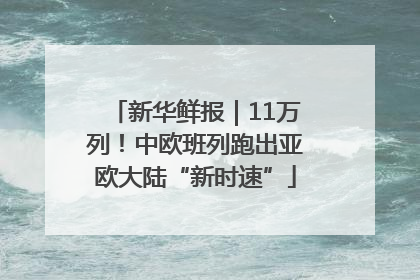 新华鲜报｜11万列！中欧班列跑出亚欧大陆“新时速”