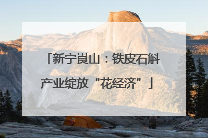 新宁崀山：铁皮石斛产业绽放“花经济”