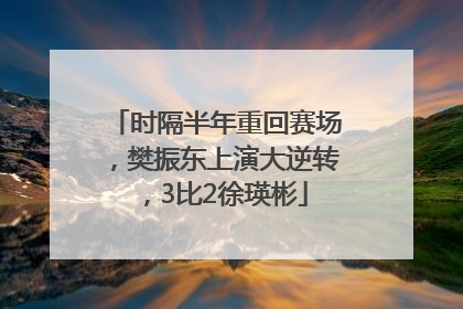 时隔半年重回赛场，樊振东上演大逆转，3比2徐瑛彬