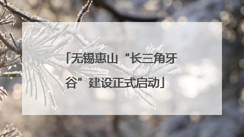 无锡惠山“长三角牙谷”建设正式启动
