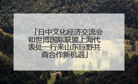 日中文化经济交流会和世博国际联盟上海代表处一行来山东巨野共商合作新机遇