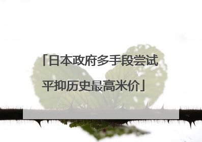 日本政府多手段尝试平抑历史最高米价