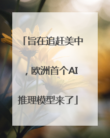旨在追赶美中，欧洲首个AI推理模型来了