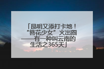 昆明又添打卡地！“簪花少女”火出圈——有一种叫云南的生活之365天