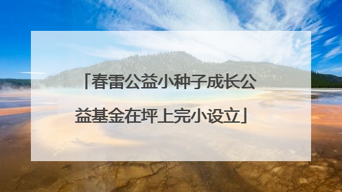 春雷公益小种子成长公益基金在坪上完小设立