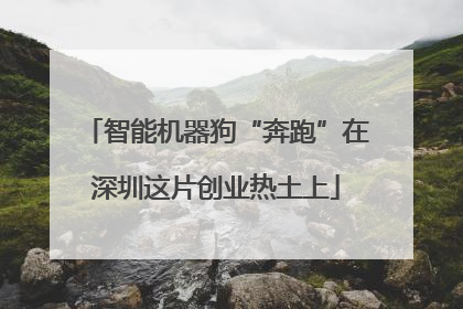 智能机器狗“奔跑”在深圳这片创业热土上
