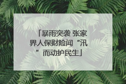暴雨突袭 张家界人保财险闻“汛”而动护民生