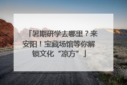 暑期研学去哪里？来安阳！宝藏场馆等你解锁文化“凉方”