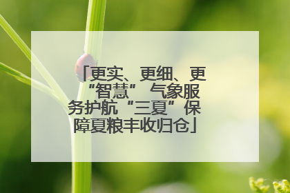 更实、更细、更“智慧” 气象服务护航“三夏”保障夏粮丰收归仓