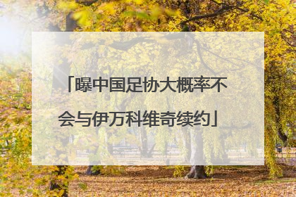 曝中国足协大概率不会与伊万科维奇续约